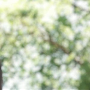 Meet your Posher, Mia